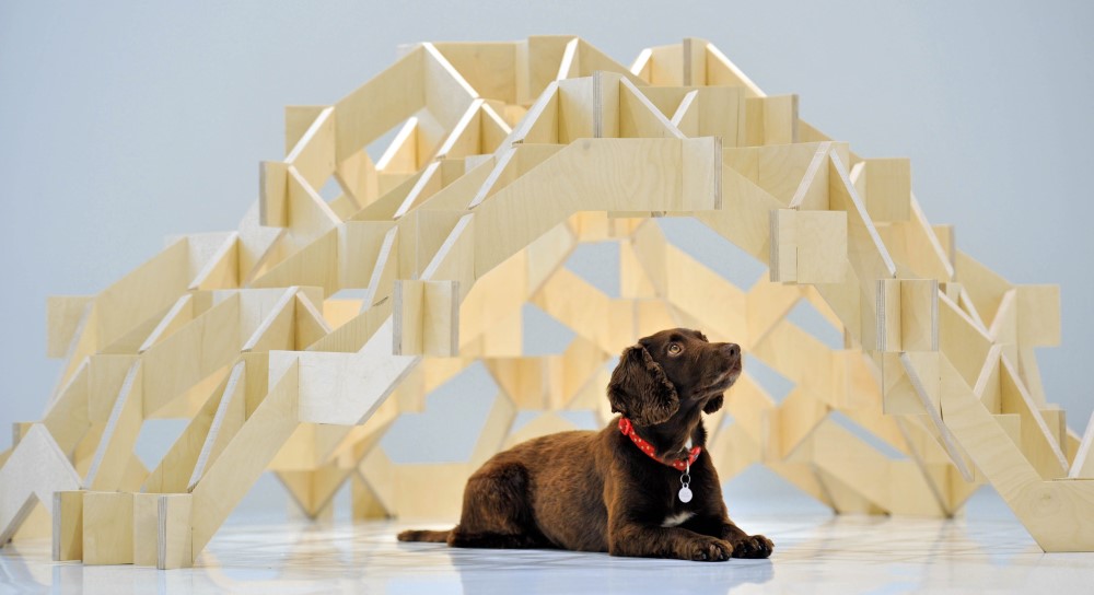 Architecture for Dogs ｜创新与实践